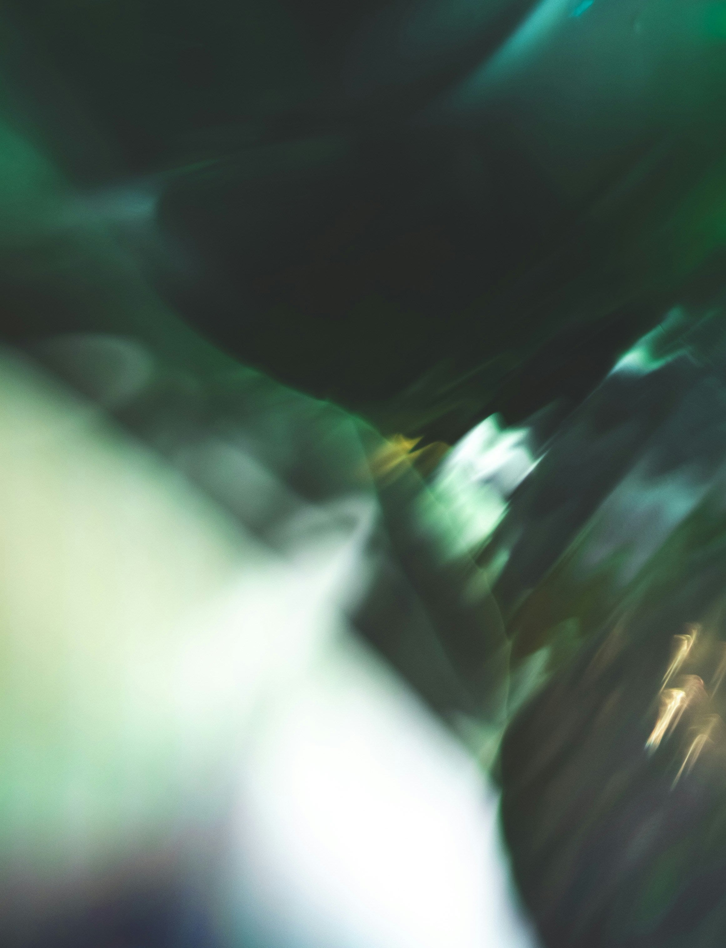 Blurred image with green and black colors